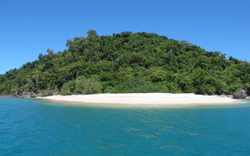 Littoral Rainforest on High Island National Park - Andrew Ford