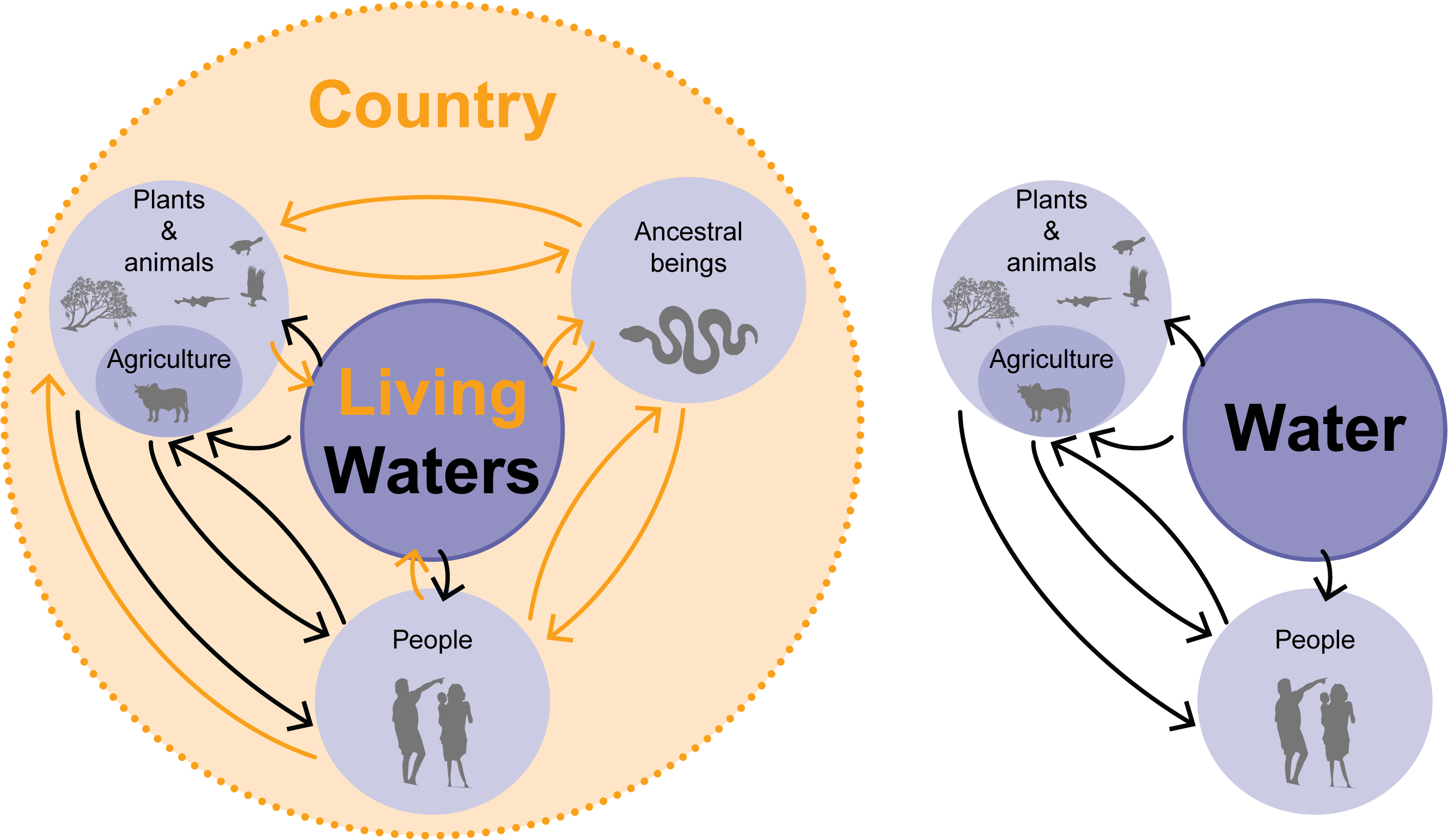 Living waters and traditional water resource model