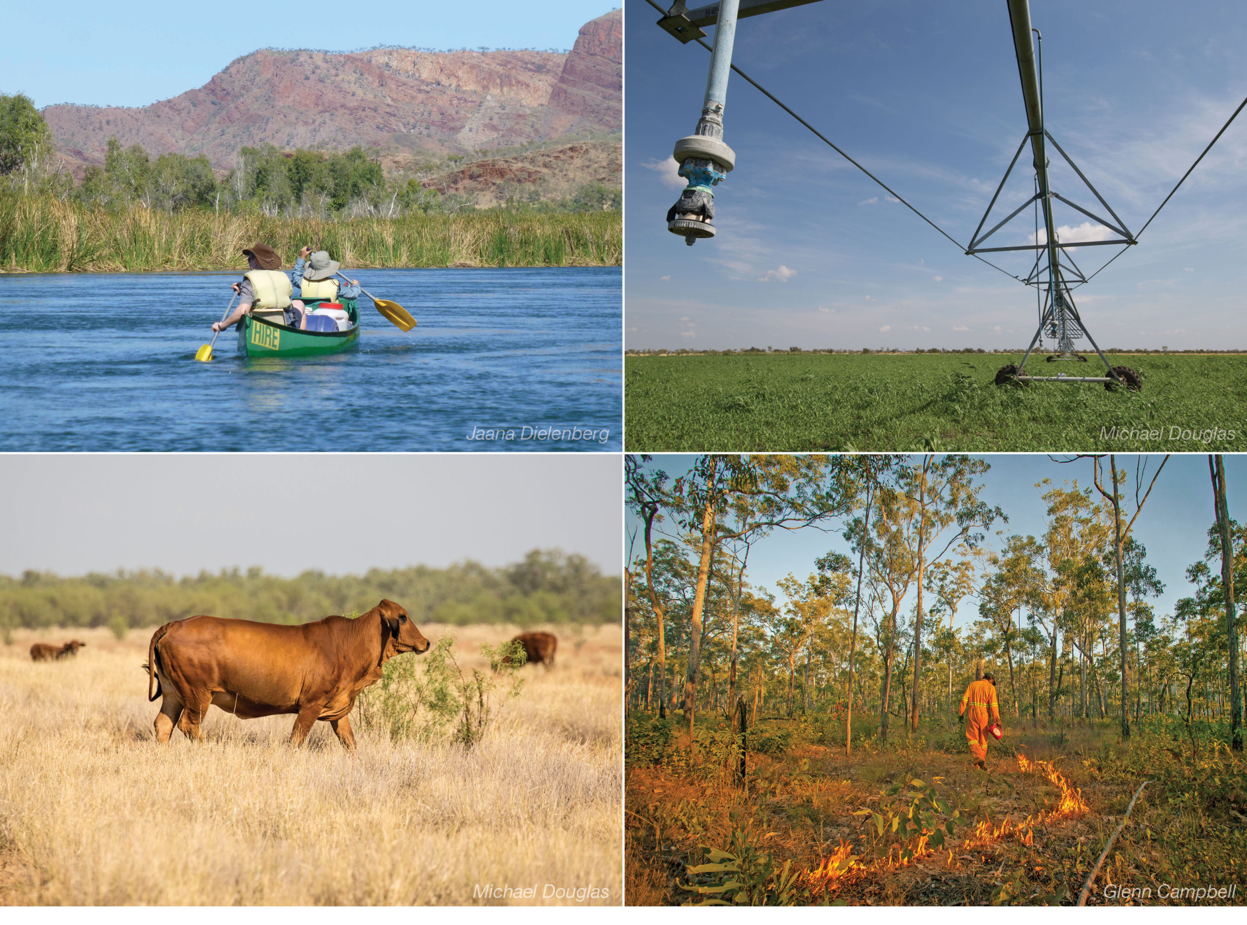 Fitzroy River Catchment development options (recreation/tourism, agriculture, pastoral, carbon opportunities).