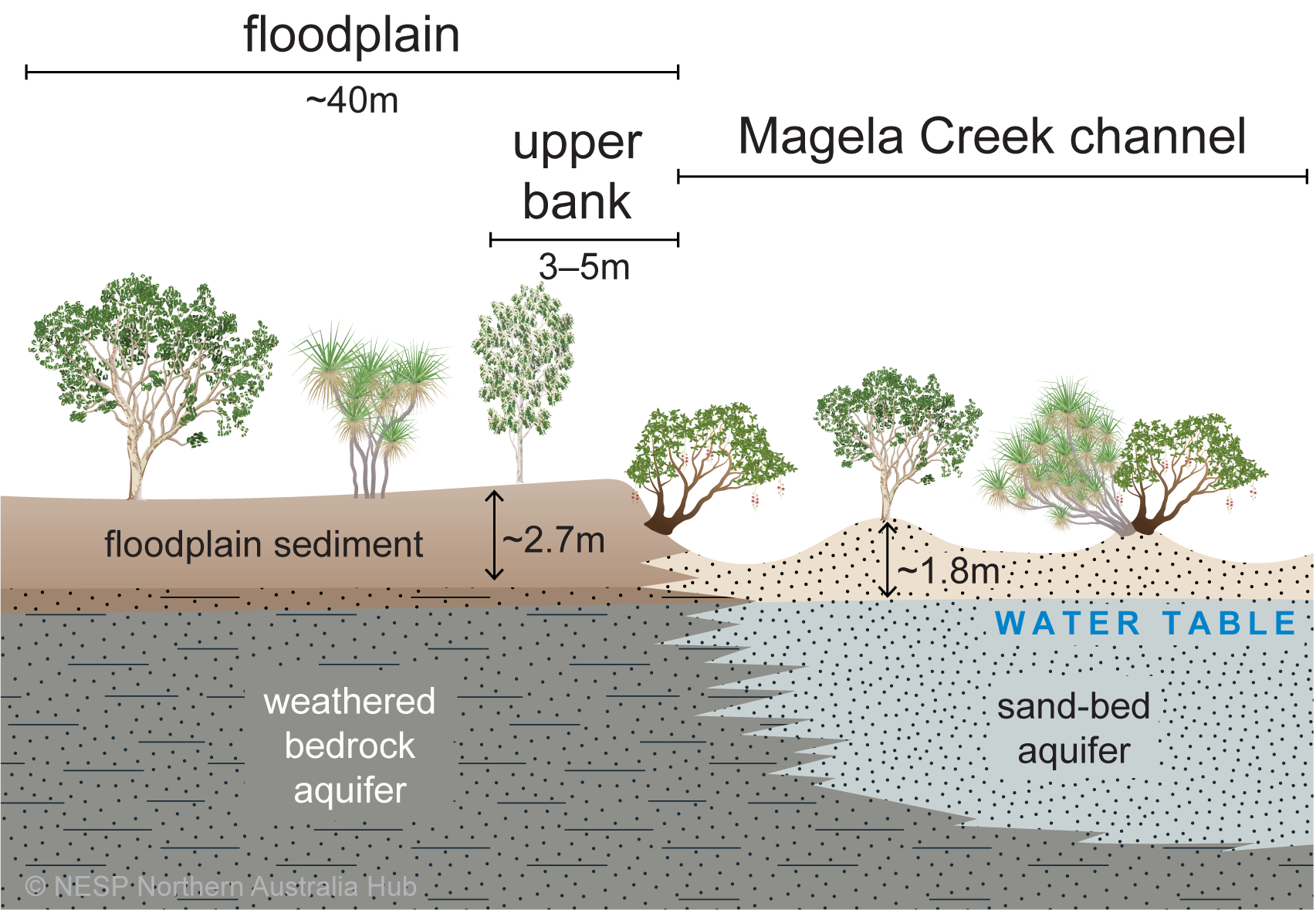 Conceptual cross-section of Magela Creek in the dry season.