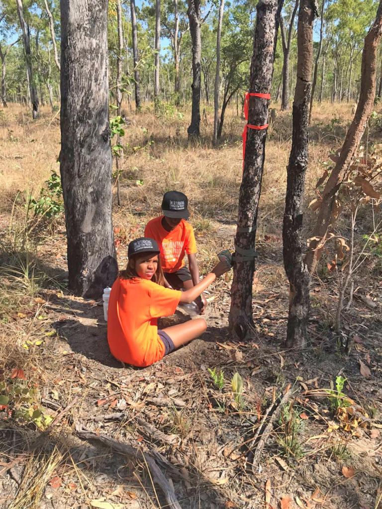 Kids and camera traps