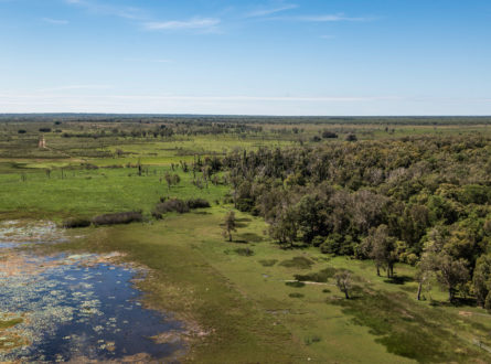 Mary River National Park aerial photo