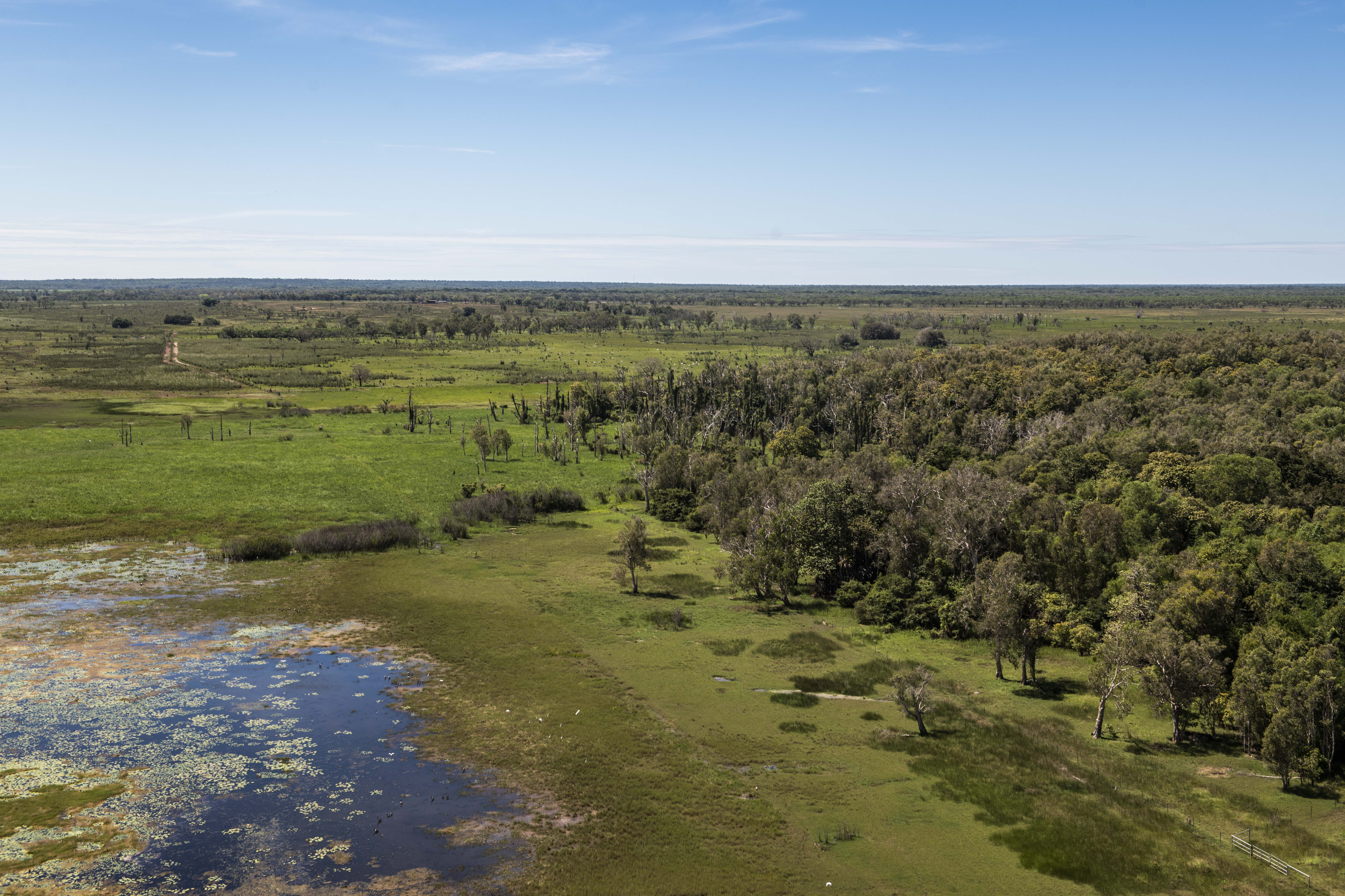 Mary River NP wetland from above