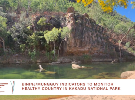 Monitoring healthy country indicators in Kakadu