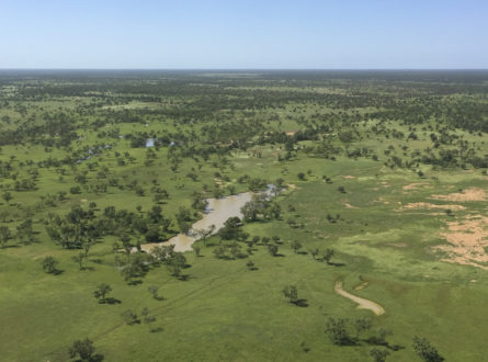 Floodplain waterhole image. Turbid water surrounded by mostly green grass.