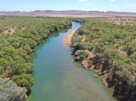 Fitzroy river meanders through green vegetation with some shallow sandy banks visible and distinctive Kimberley rock formations in the background.