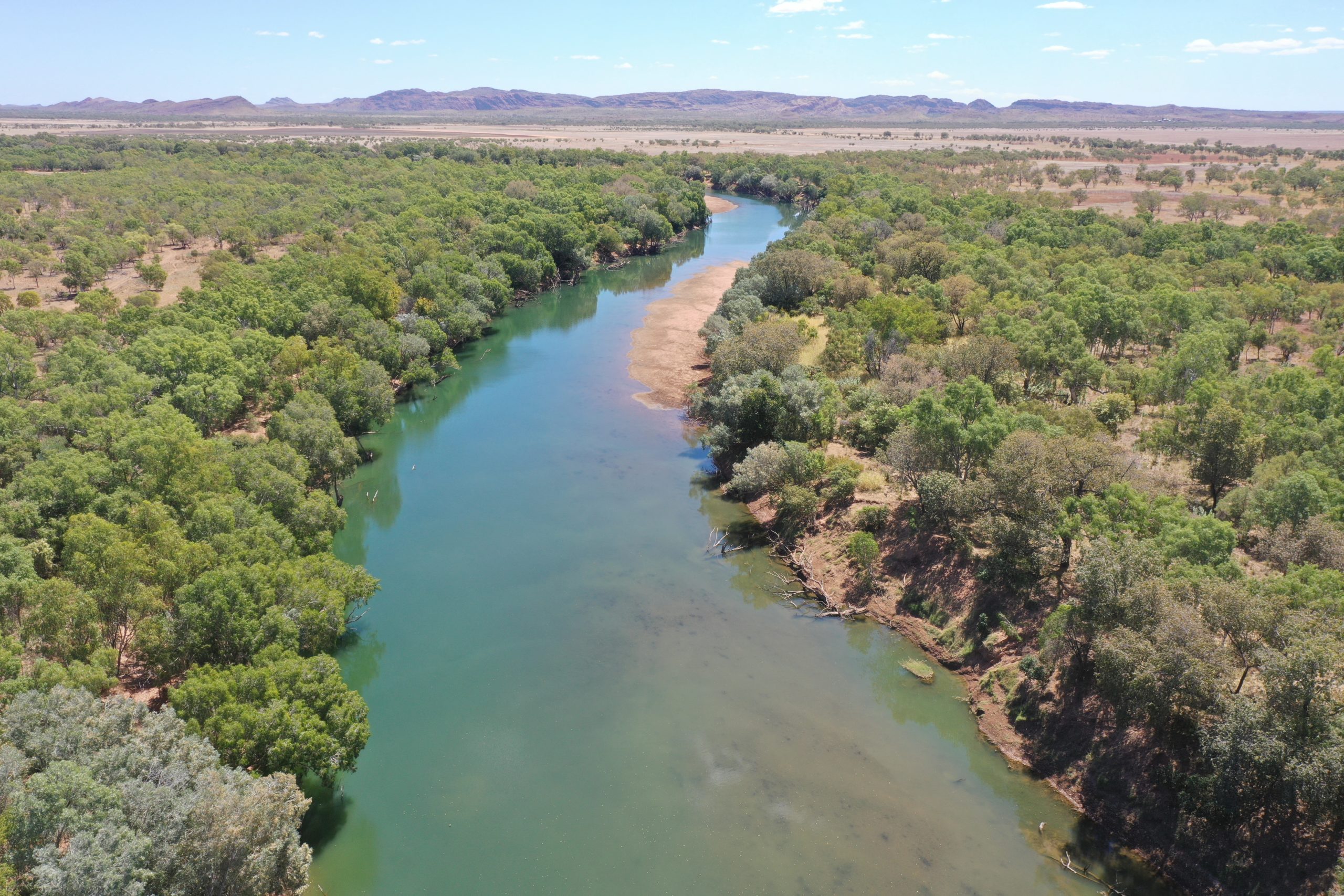 Fitzroy river meanders through green vegetation with some shallow sandy banks visible and distinctive Kimberley rock formations in the background.