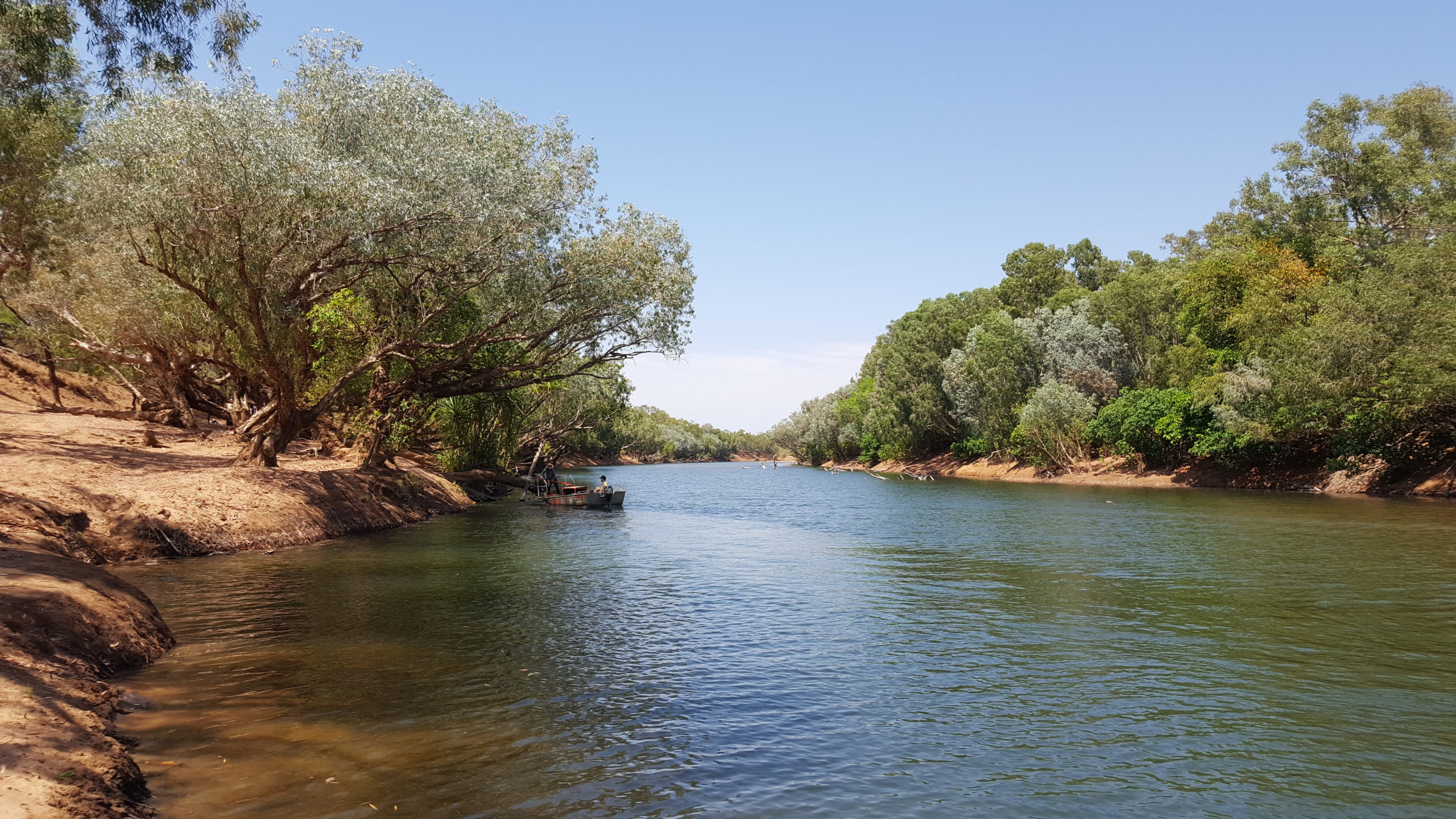 Fitzroy river image from the water level
